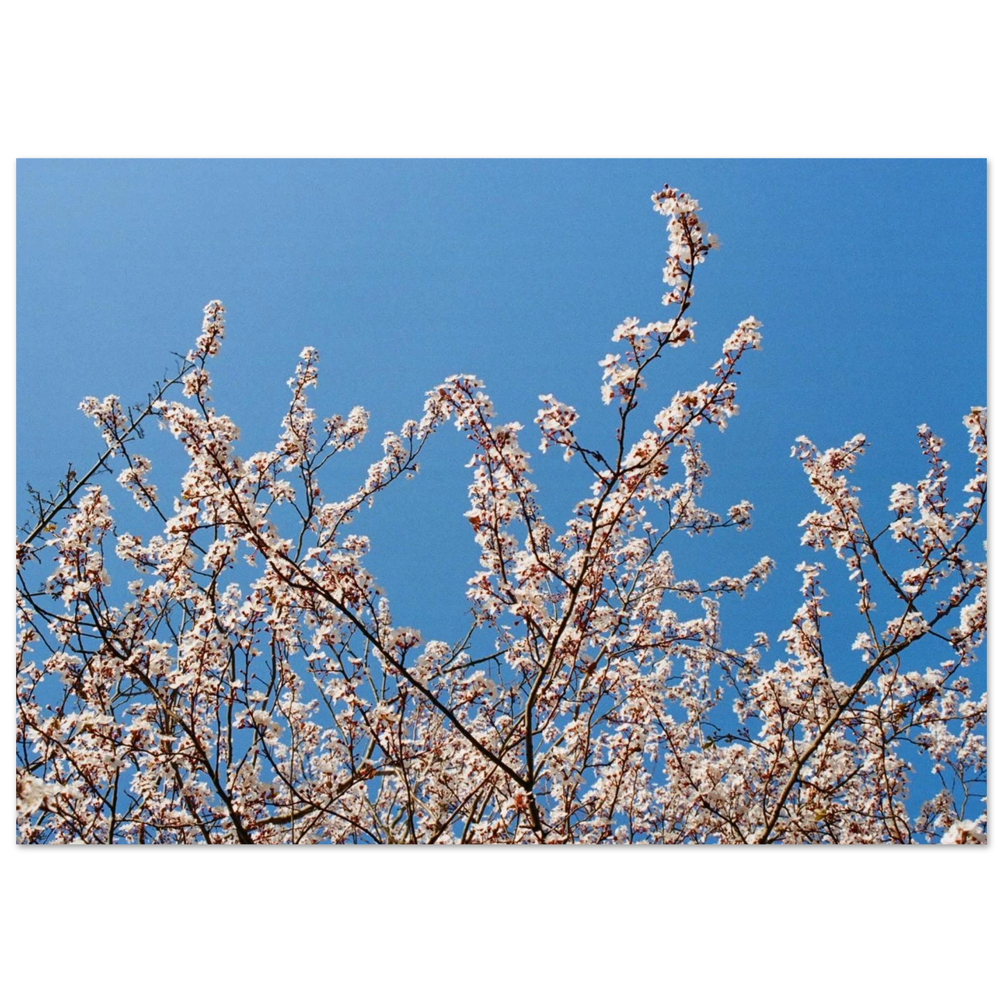 0423438f-b5d3-408f-ad8d-7102d4b8ea6e
