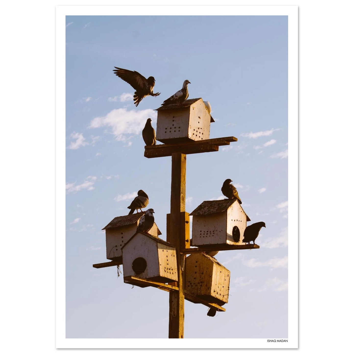 1ef3e9bd-b28b-414b-84af-dd78e40fc77c