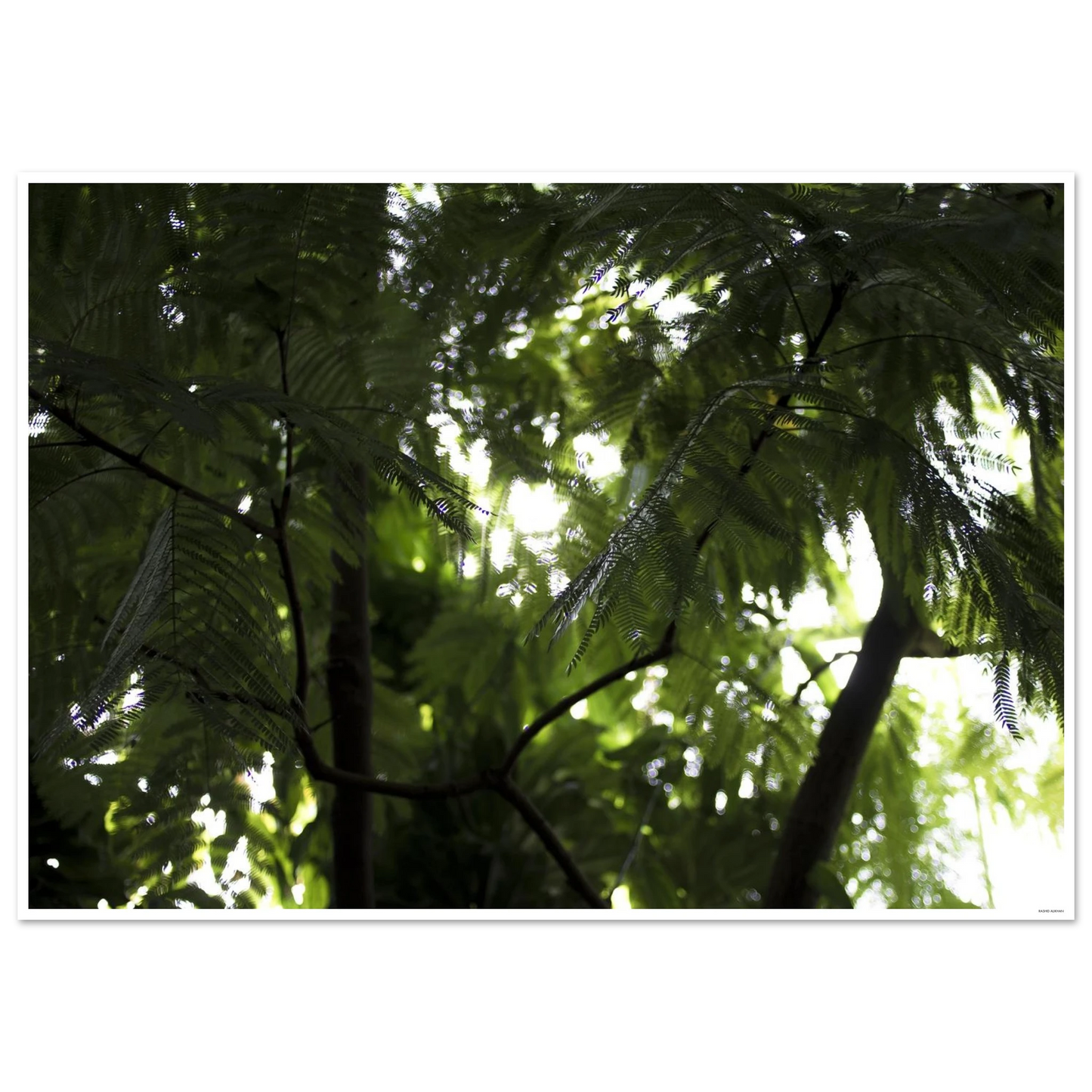 7ba2390c-afc3-4b42-bc8a-2683cb2af098