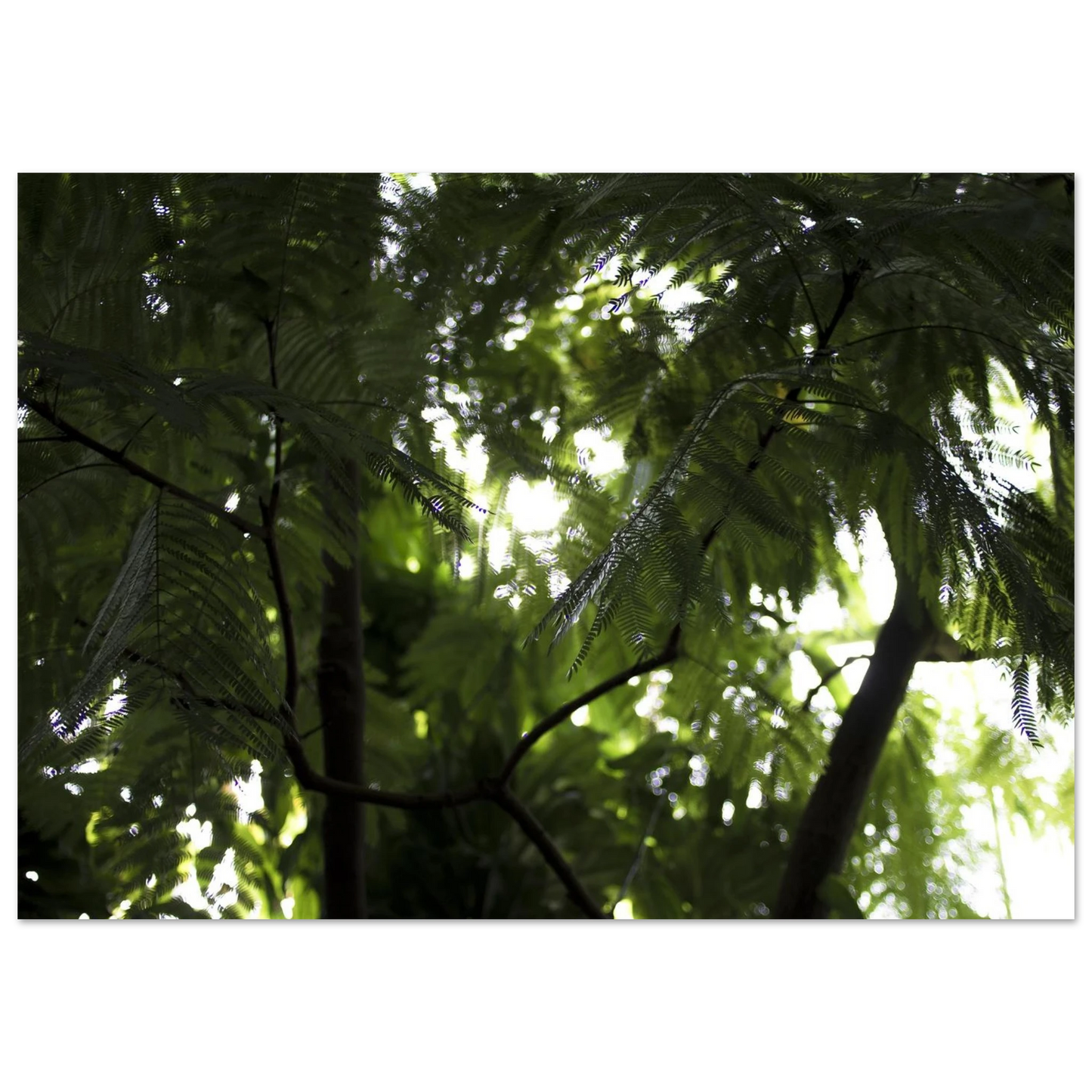 aa556b3d-8e8e-43fa-970f-362e747eb694