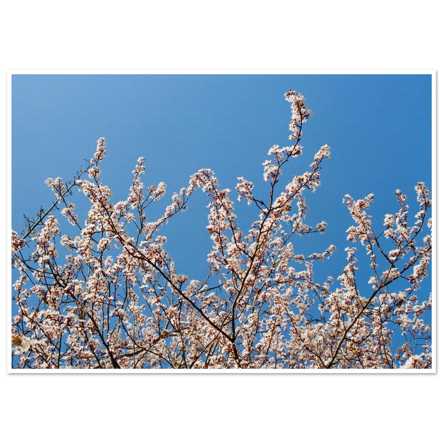 bc8518f5-c891-4827-aa99-46c5fc3ce04e