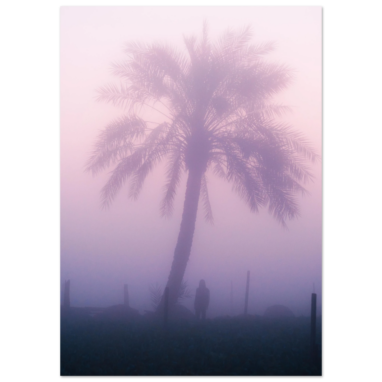 c2e01744-b67c-43c5-8854-9b66e78159ca