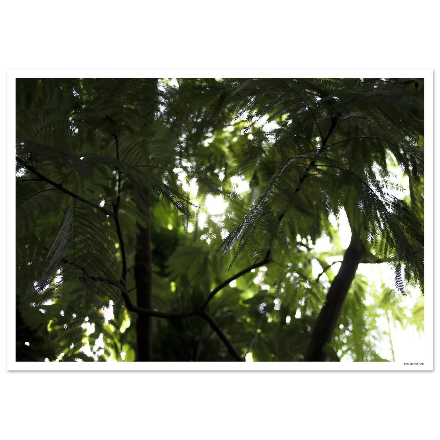 c9579129-8292-410f-8266-a63a7d9bde07