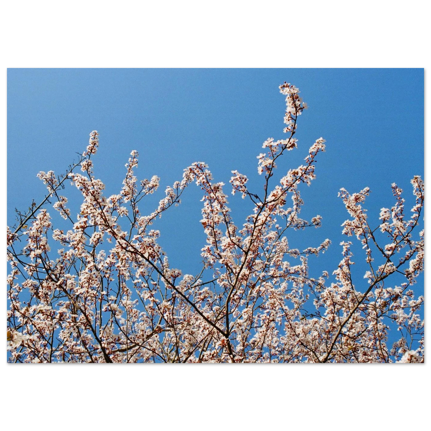 e775b246-f05f-40fc-be1f-6c21391fbc84