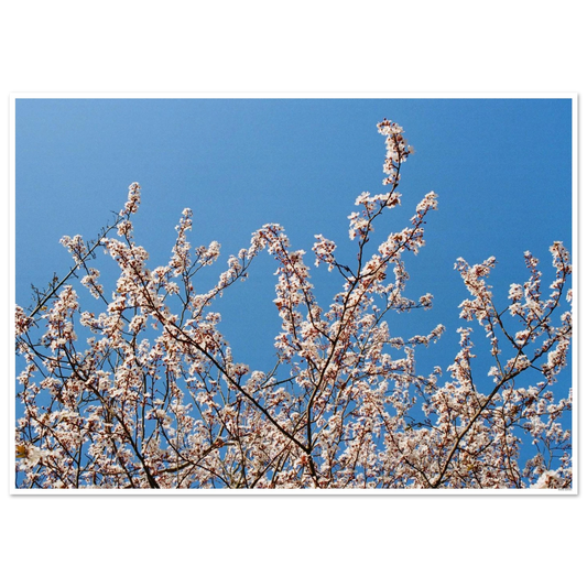 2f844e30-0d90-47d7-8e05-6995bc132b00