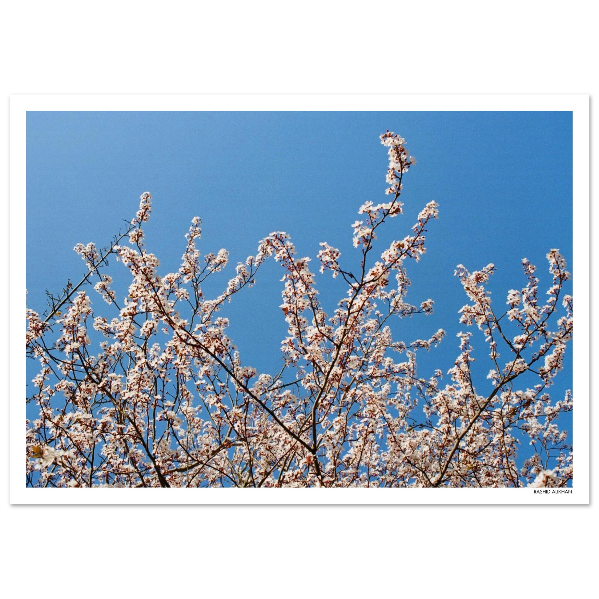 39394936-21b2-45fb-a6d2-edb9977a33b2