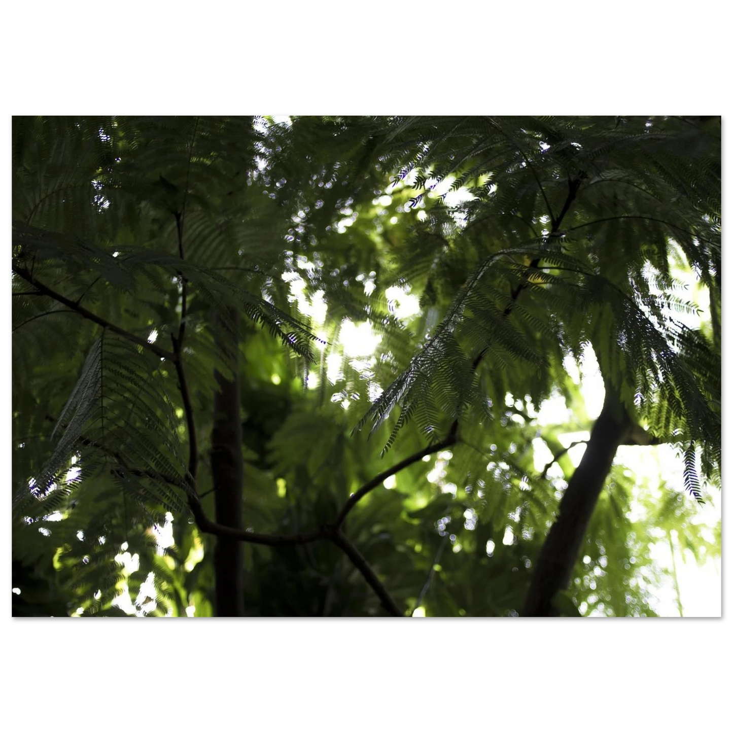 3efcc4ef-ee3a-4d07-a042-eba283bb14f3
