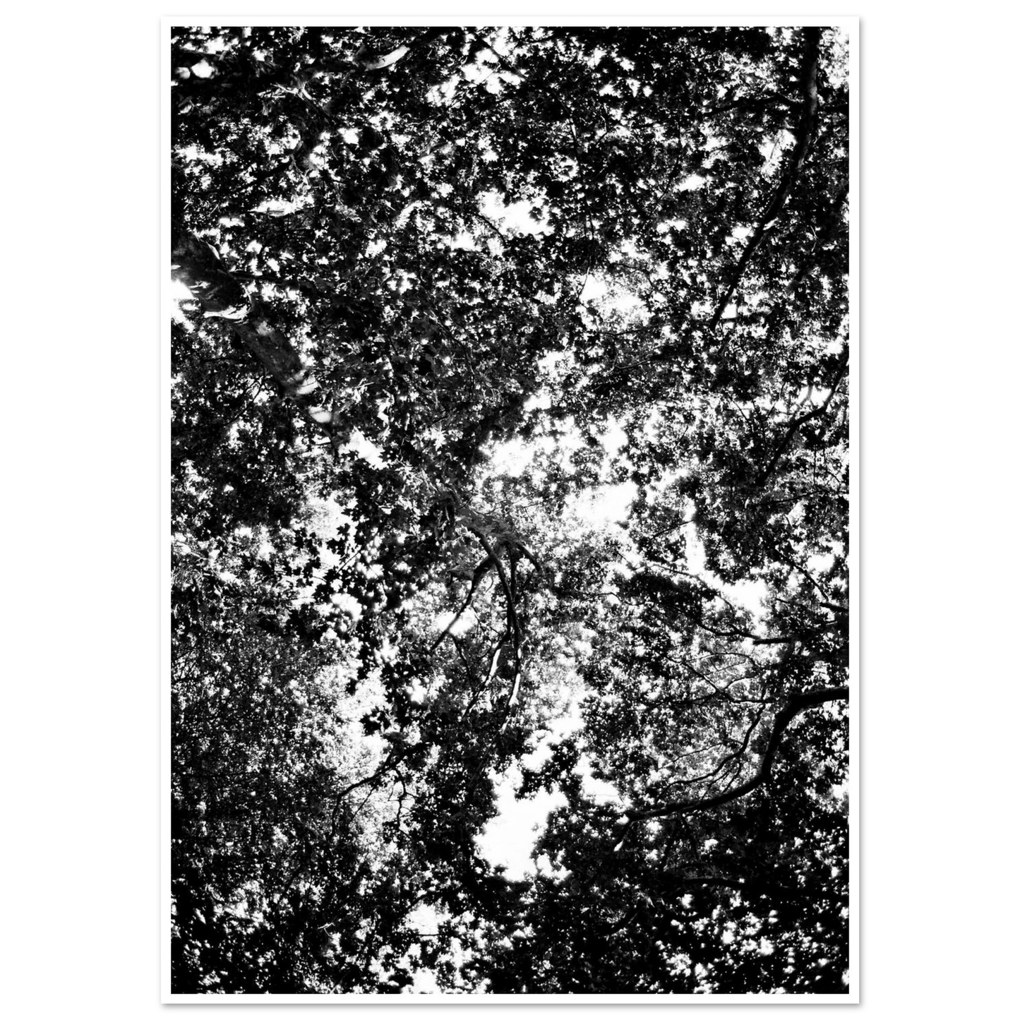 417ca02c-ab11-4e53-a7e6-8dc0b4b5fecc