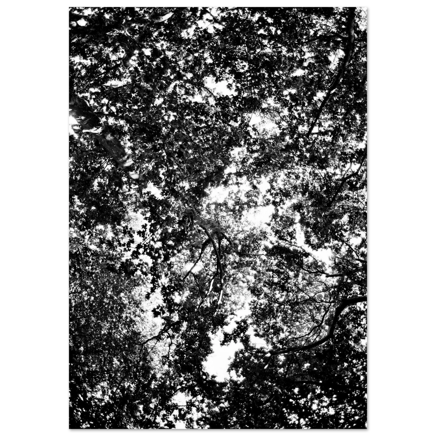 67ff0fa3-46b9-4b7b-bd55-f04145f432f6