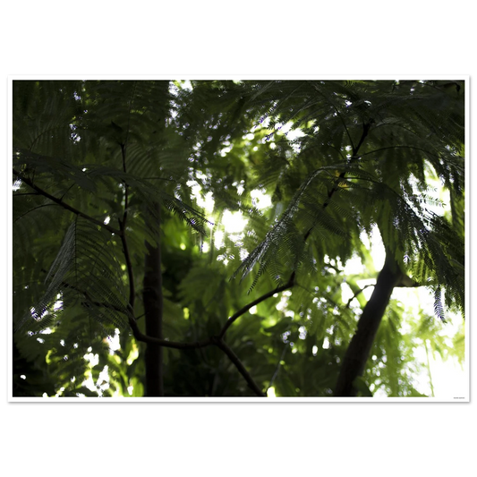 7ba2390c-afc3-4b42-bc8a-2683cb2af098