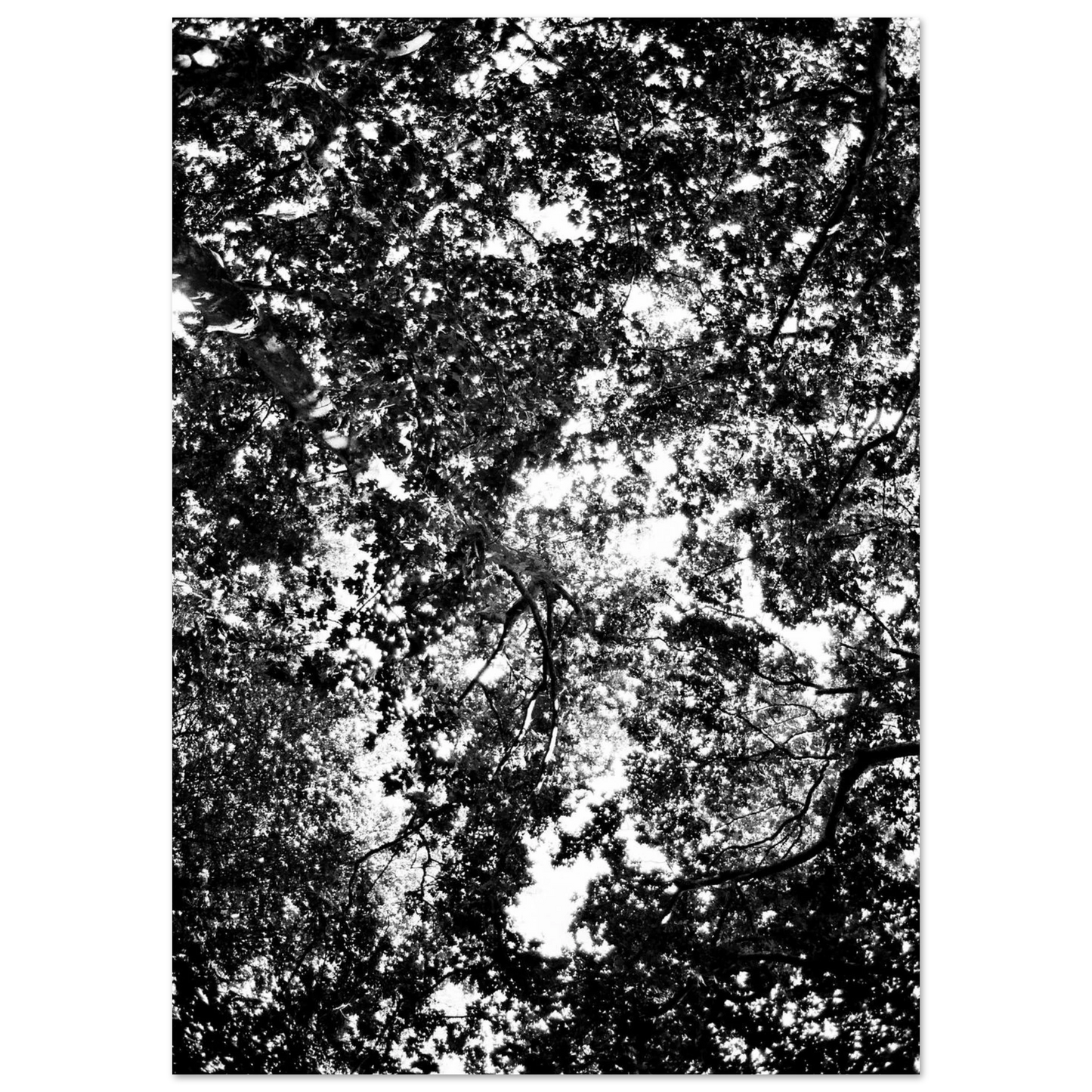 7e0cee18-726e-46c2-a7b6-b3b8a92041c0