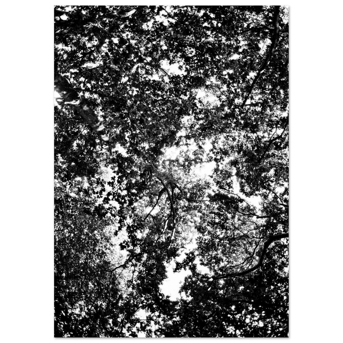 b9c9d2bb-0c50-4e24-8c75-81612728ba29