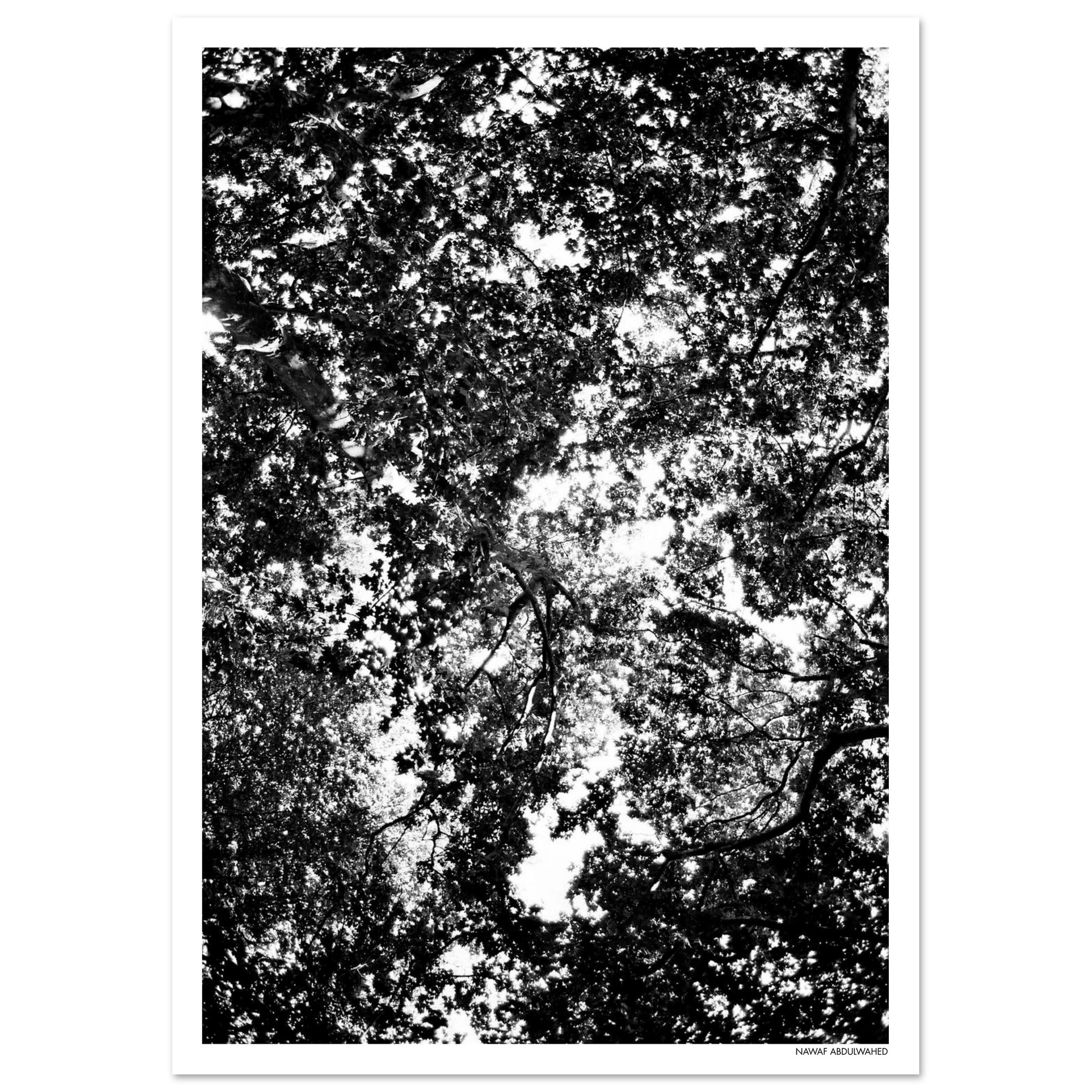 ca3eb554-74a5-4b44-854d-1be18f06138e