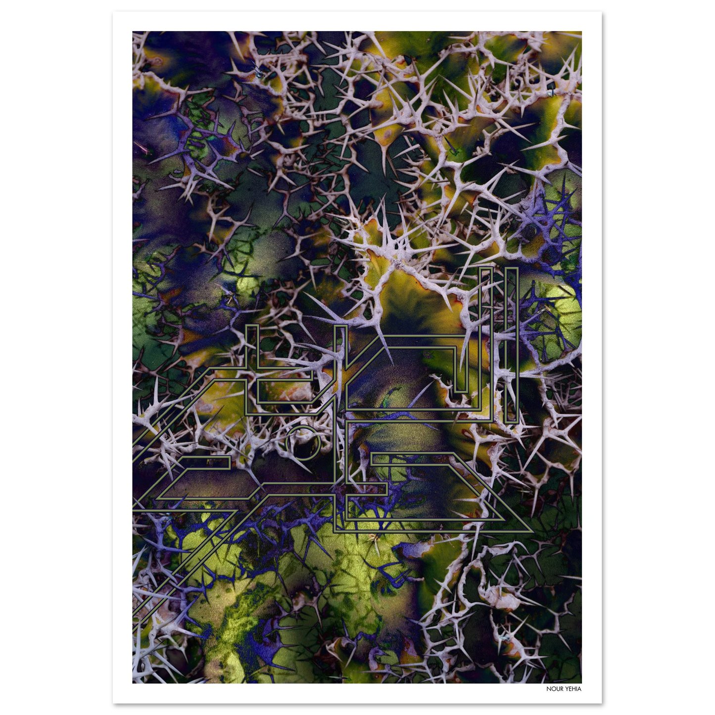 f2e56201-9e08-4b24-a4e0-fdc2f4a54bc2